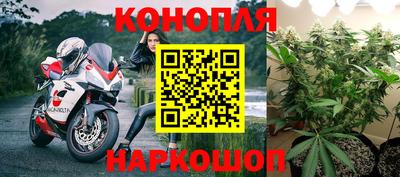 сатива Усть-Джегута