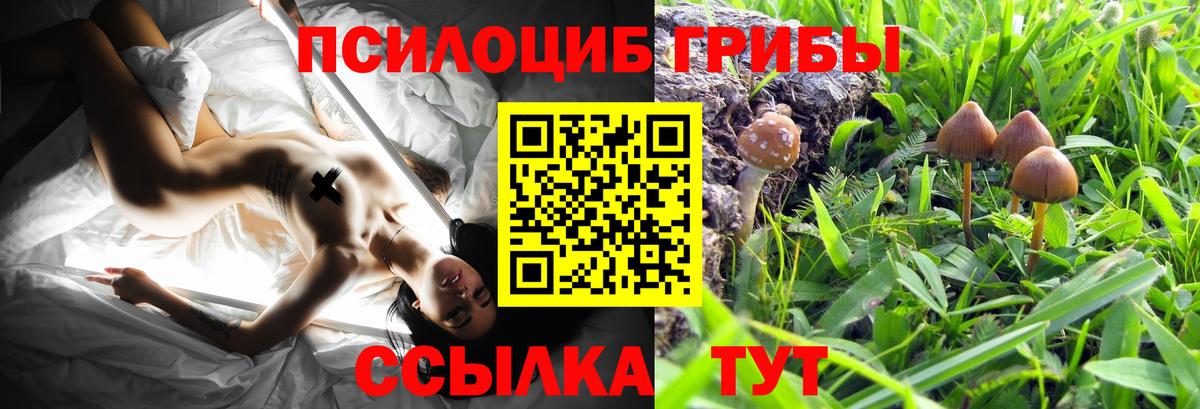 Псилоцибиновые грибы Magic Shrooms  что такое наркотик  Ханты-Мансийск  Псилоцибиновые грибы прущие грибы 